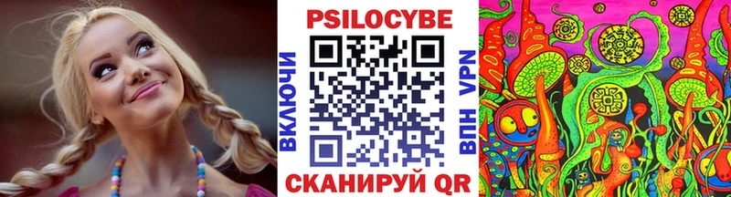 Галлюциногенные грибы мухоморы кракен сайт Каменногорск